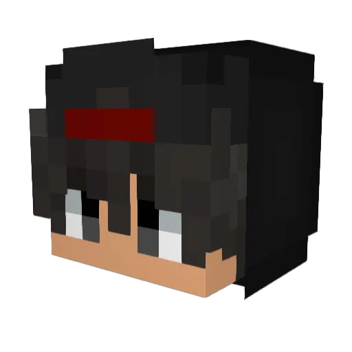 aqwerd Minecraft avatar head, 3D render