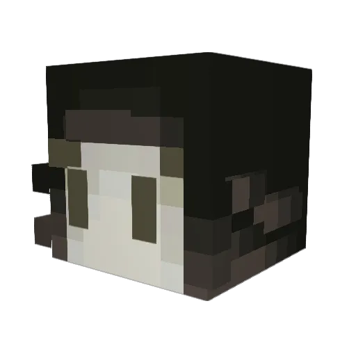ar3ta5 Minecraft avatar head, 3D render