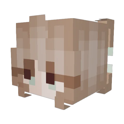 ara121107 Minecraft avatar head, 3D render