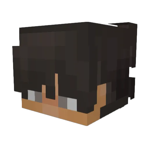 arajoo1161 Minecraft avatar head, 3D render