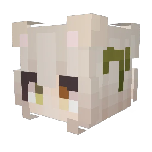aran9 Minecraft avatar head, 3D render