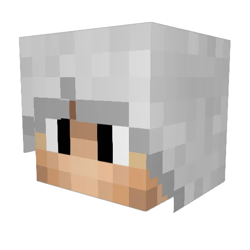 arandom500 Minecraft avatar head, 3D render