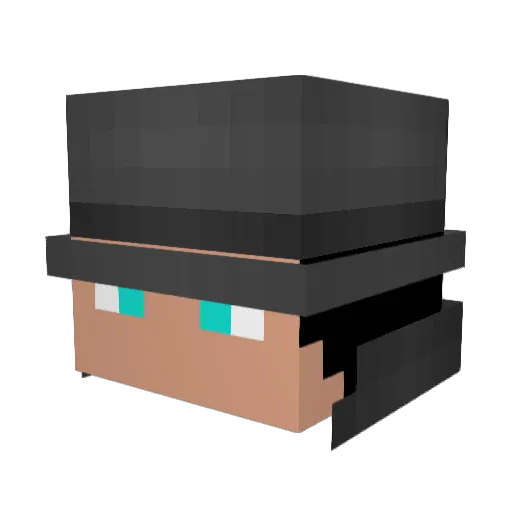 araraquario Minecraft avatar head, 3D render