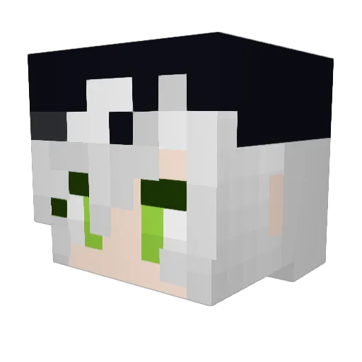 arastick Minecraft avatar head, 3D render