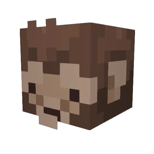 aratapadma Minecraft avatar head, 3D render