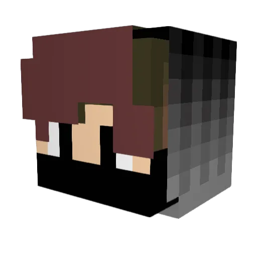 araya1010 Minecraft avatar head, 3D render