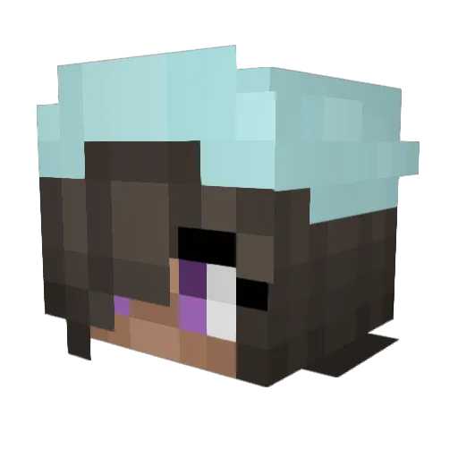 arayofsunshine03 Minecraft avatar head, 3D render
