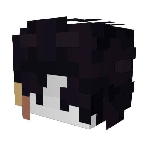 arbiterZena2 Minecraft avatar head, 3D render
