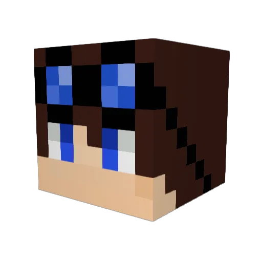arbiterjosh Minecraft avatar head, 3D render