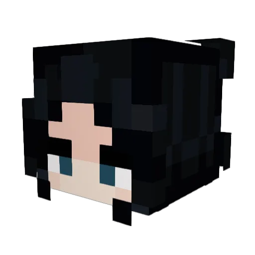 arbolitoloco Minecraft avatar head, 3D render