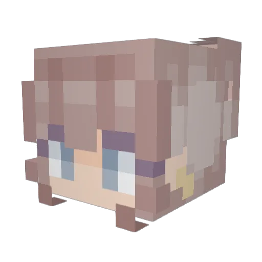 arc_FLORES Minecraft avatar head, 3D render