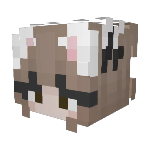 arcanestarr Minecraft avatar head, 3D render