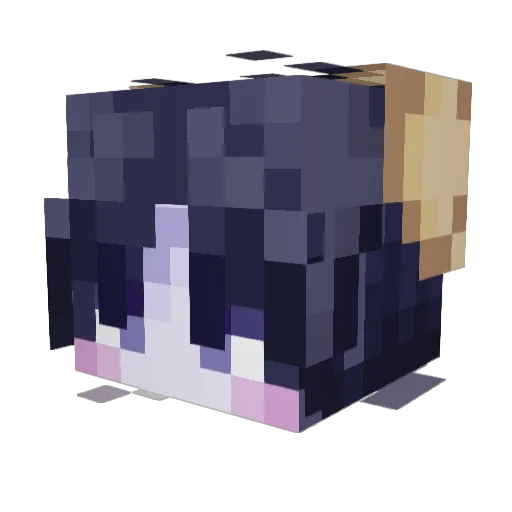 arcarthus Minecraft avatar head, 3D render