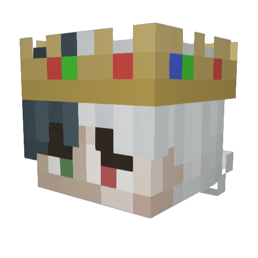 arcash1603 Minecraft avatar head, 3D render