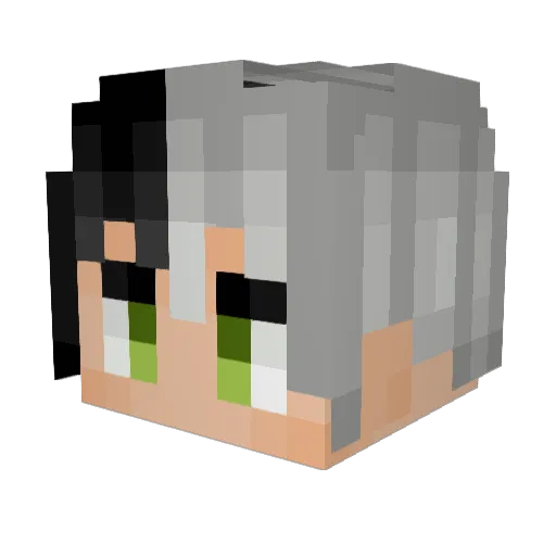 arch2011_ Minecraft avatar head, 3D render