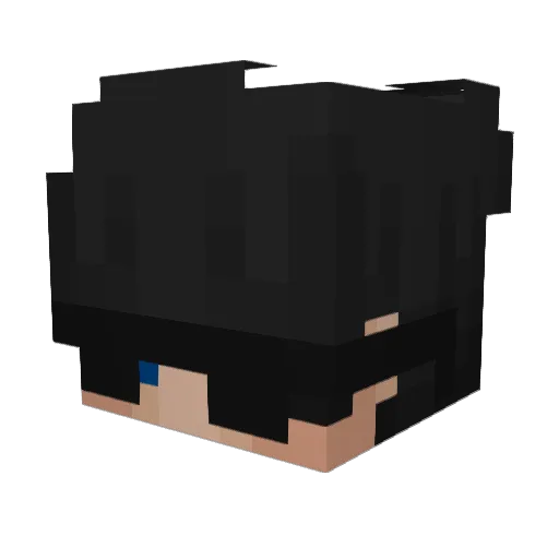 archer_timo Minecraft avatar head, 3D render