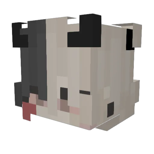 archeres Minecraft avatar head, 3D render