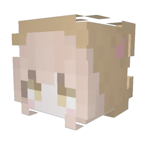 archerwda Minecraft avatar head, 3D render