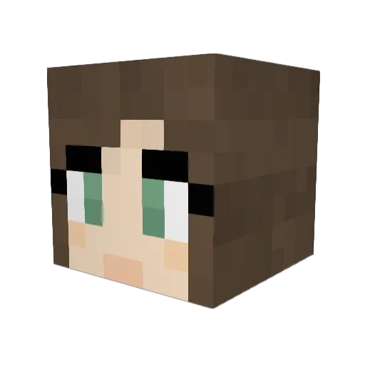 archinot Minecraft avatar head, 3D render