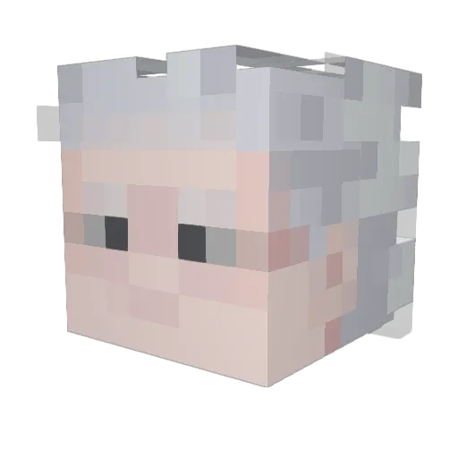 architect11 Minecraft avatar head, 3D render