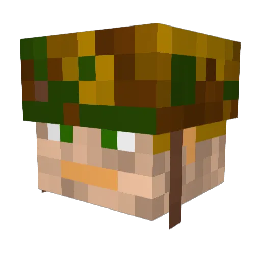 architector999 Minecraft avatar head, 3D render