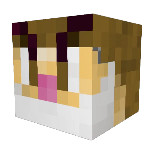archnugget Minecraft avatar head, 3D render