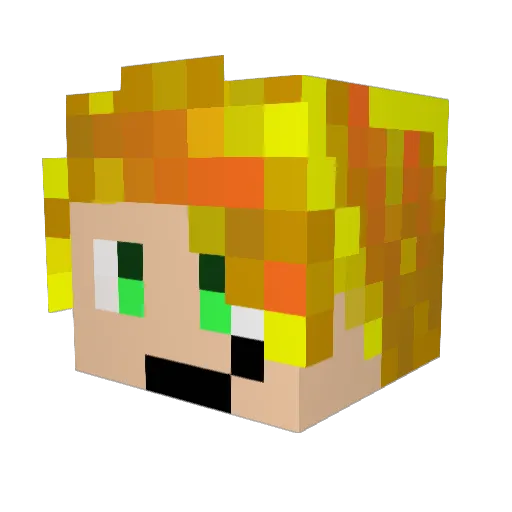arcipossum Minecraft avatar head, 3D render