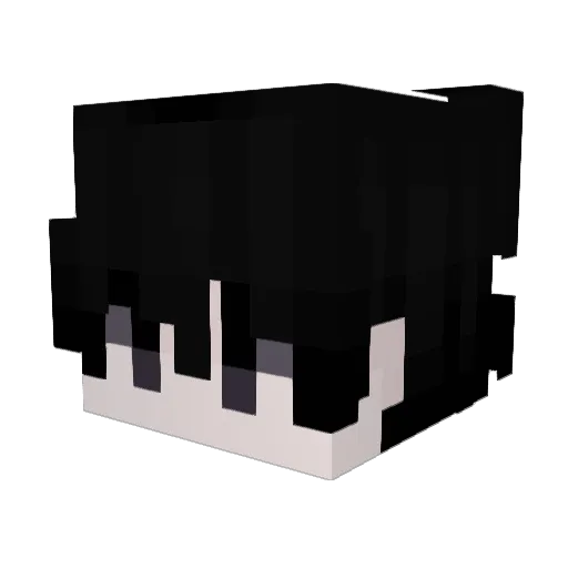 arcmed Minecraft avatar head, 3D render