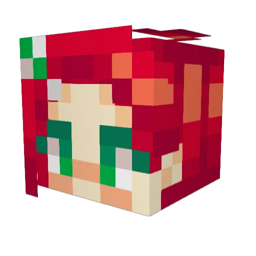 arcoleiris Minecraft avatar head, 3D render