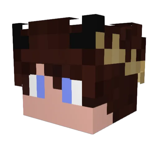 arcoolio Minecraft avatar head, 3D render