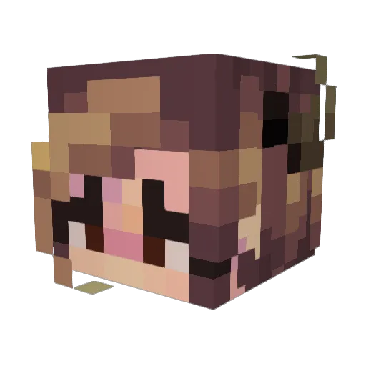 arctic23 Minecraft avatar head, 3D render