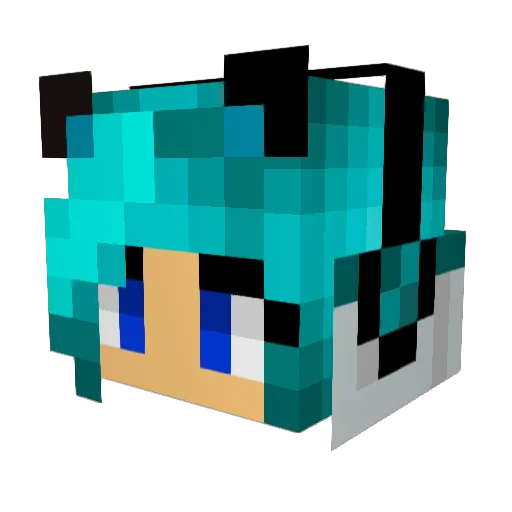 arctic__wolves Minecraft avatar head, 3D render