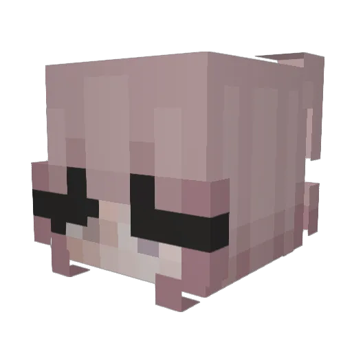 arcticassassin19 Minecraft avatar head, 3D render