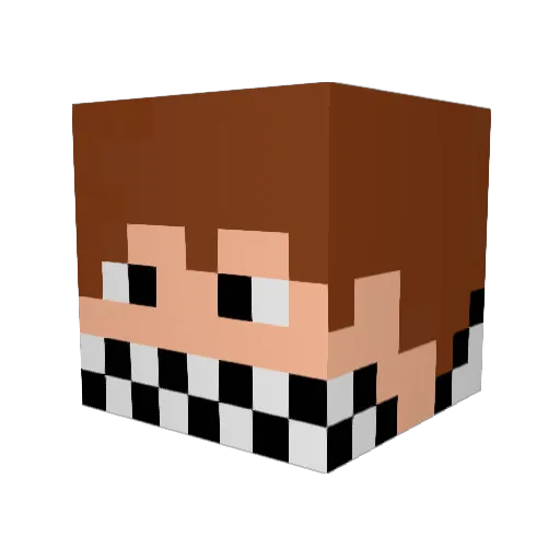 arcticfox2222 Minecraft avatar head, 3D render