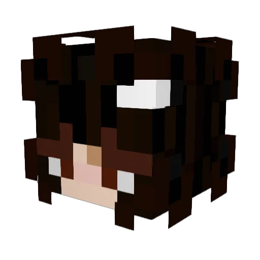 arcticjustine Minecraft avatar head, 3D render
