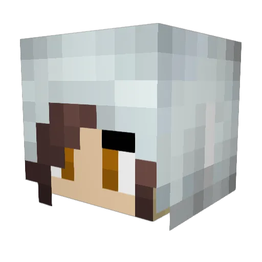 arcticmoon23 Minecraft avatar head, 3D render