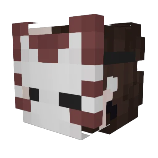 arctisch Minecraft avatar head, 3D render