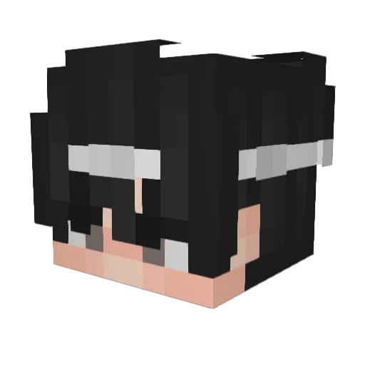 arcxii11 Minecraft avatar head, 3D render