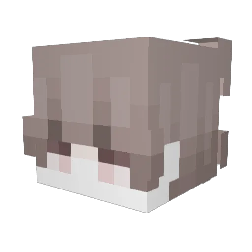 ard3ns0 Minecraft avatar head, 3D render