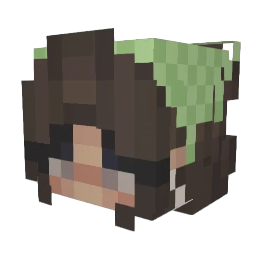 arden_forever Minecraft avatar head, 3D render