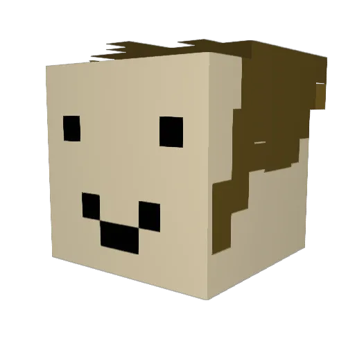 ardish Minecraft avatar head, 3D render