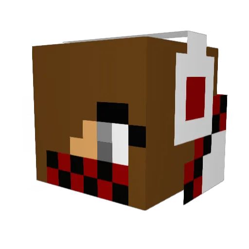 ardnaskela13 Minecraft avatar head, 3D render