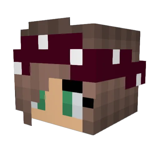 ardvrk Minecraft avatar head, 3D render