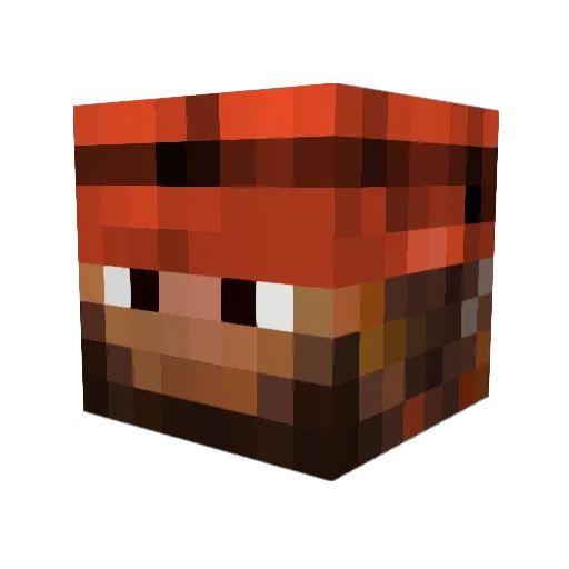 are281 Minecraft avatar head, 3D render