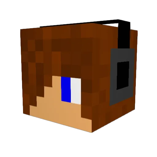 arenabuilder123 Minecraft avatar head, 3D render