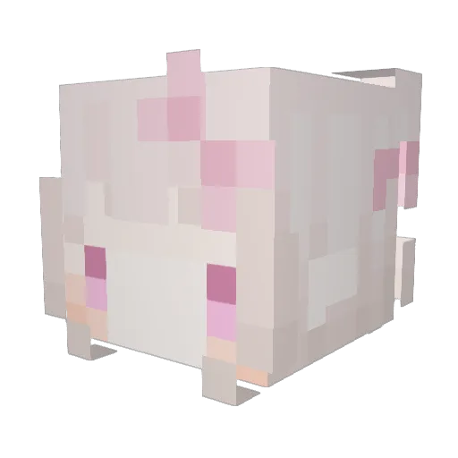 arenita Minecraft avatar head, 3D render