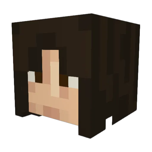 areuexperienced Minecraft avatar head, 3D render