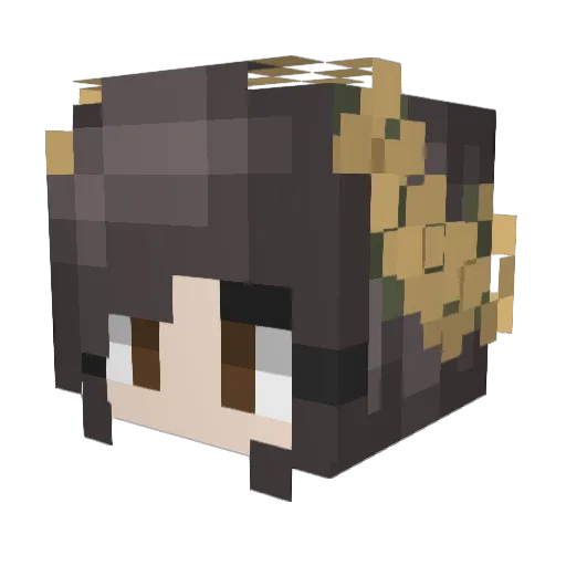 argeddion_falls Minecraft avatar head, 3D render
