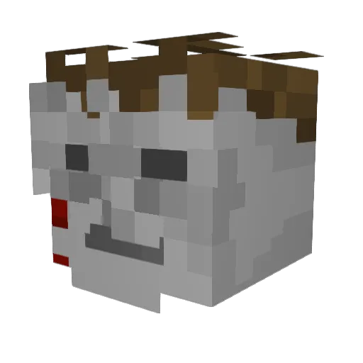 ari203 Minecraft avatar head, 3D render
