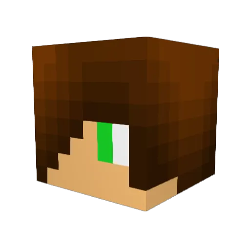 ari_ege Minecraft avatar head, 3D render